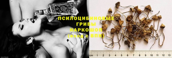 мет Белокуриха
