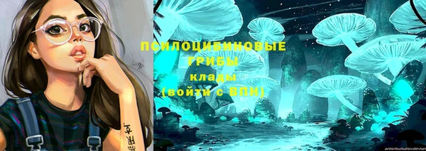 мет Белокуриха